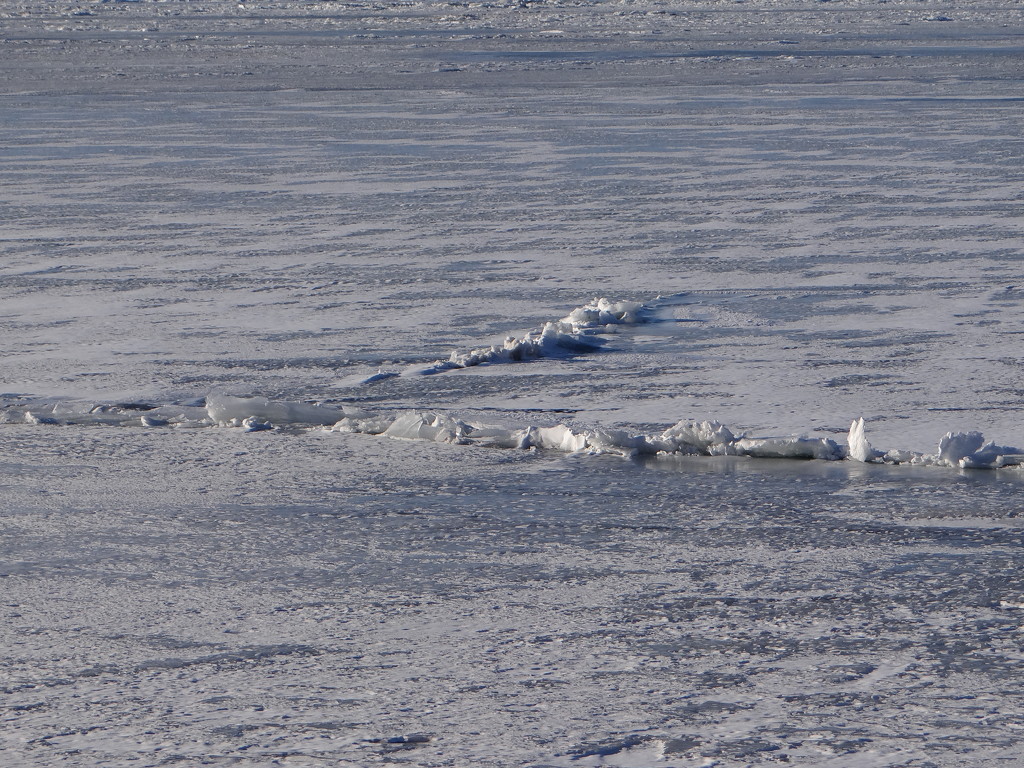 Still Ice on Lake Erie by brillomick