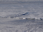 27th Mar 2015 - Still Ice on Lake Erie