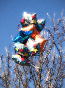 31st Mar 2015 - Lost Birthday Balloons