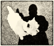 31st Mar 2015 -  31st March 2015 - Me and my shadow 