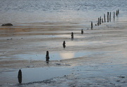 31st Dec 2013 - old jetty