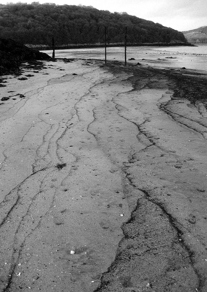 tidal lines by steveandkerry