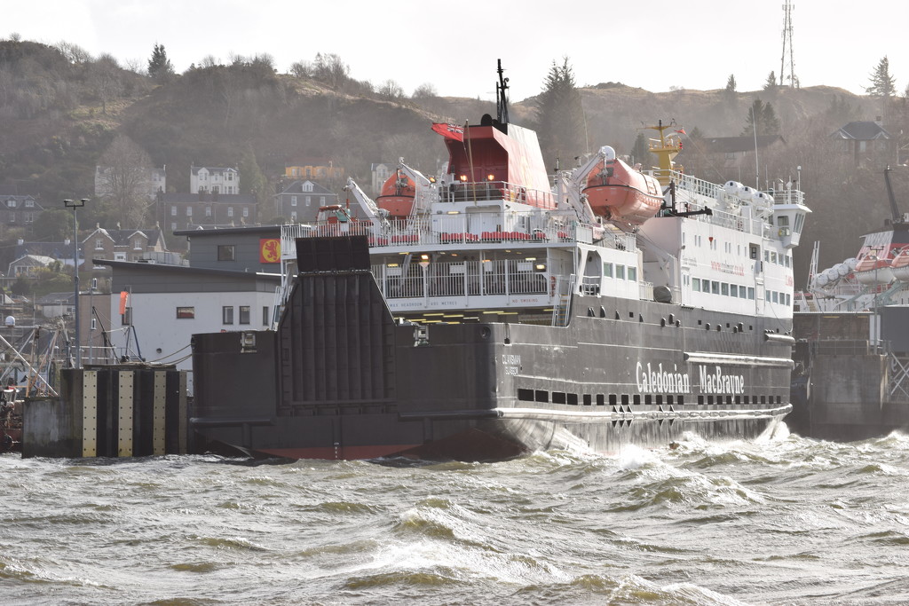 windy in Oban Bay  by christophercox