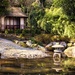 Chinese Garden by swillinbillyflynn