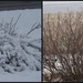 before & after 31march by amyk