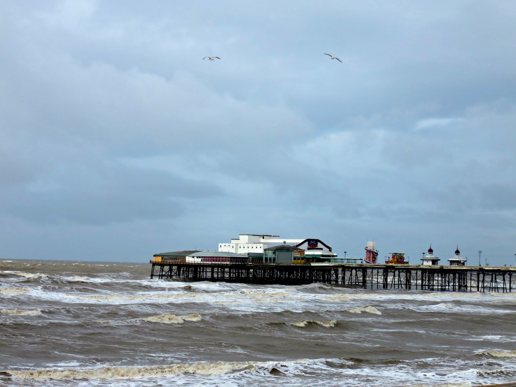 Blackpool Pier  by countrylassie