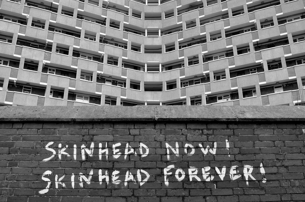 Skinhead Now! Skinhead Forever! by andycoleborn