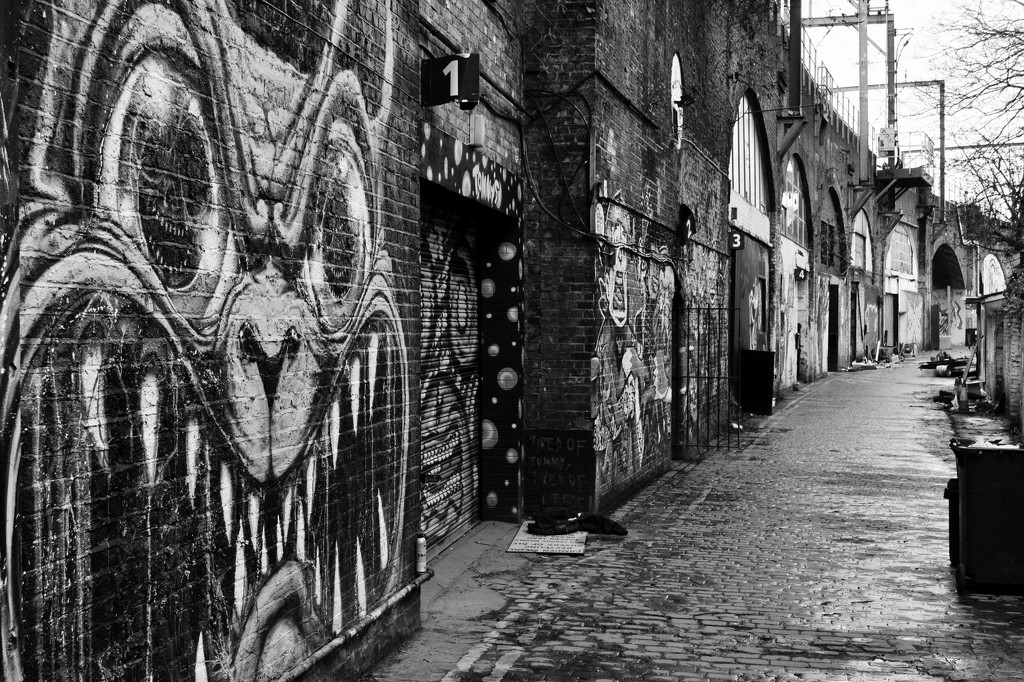 Graffiti Alley by andycoleborn