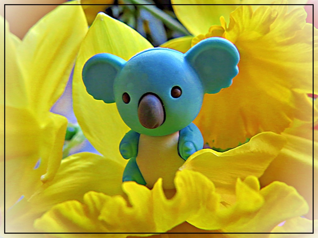 Little Blue Loves Yellow Flowers by olivetreeann