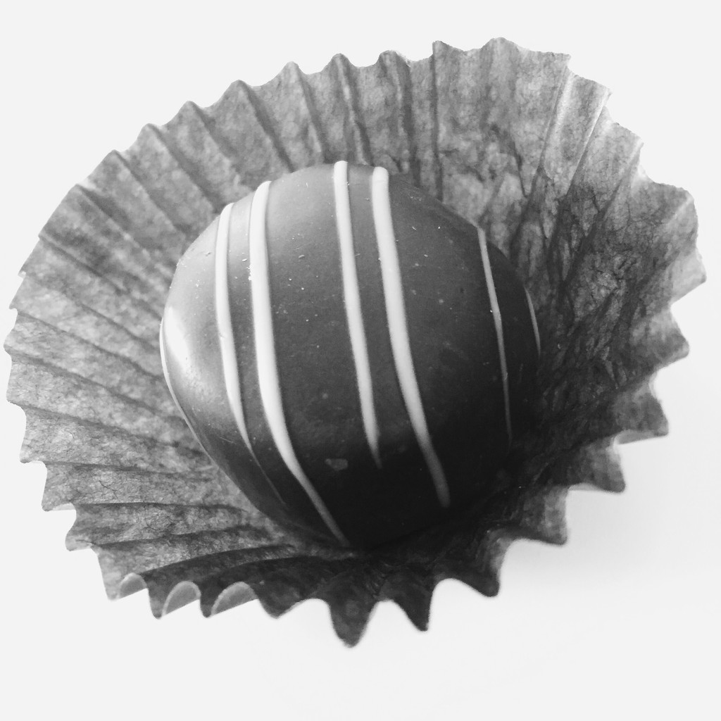 Chocolate  by kerristephens