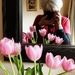 shooting tulips  by quietpurplehaze