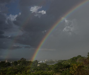 1st Apr 2015 - The rainbow connection