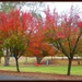 Autumn in the park by cruiser