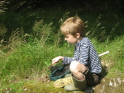 22nd Aug 2013 - Young naturalist