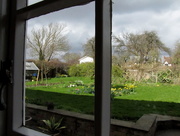 1st Apr 2015 - Nicola's garden