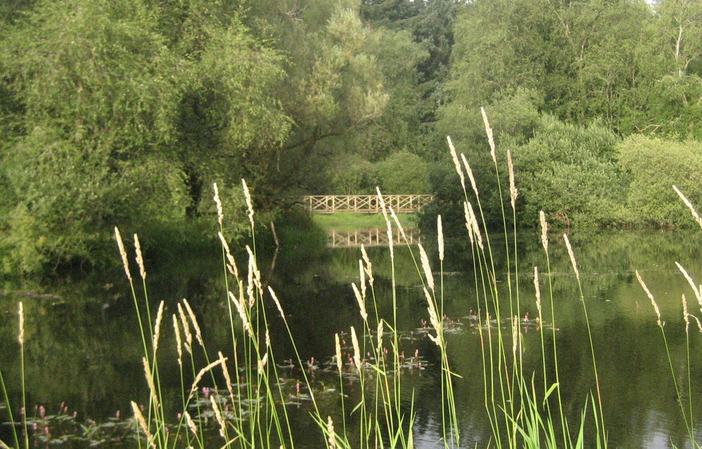 Pond by steveandkerry