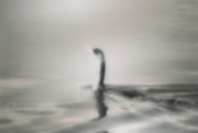 2nd Apr 2015 - Loch Ness Monster in Marana