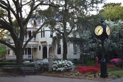 3rd Apr 2015 - Spring, College of Charleston campus, Charleston, SC historic district