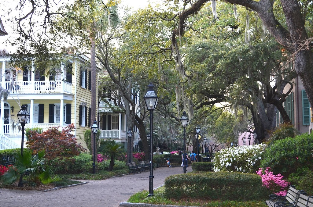 Spring, College of Charleston campus, Charleston, SC by congaree