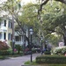 Spring, College of Charleston campus, Charleston, SC by congaree