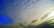 10th Feb 2013 - mackerel sky