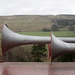 Wet horns by steveandkerry