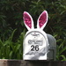 Bunny mail by kiwinanna