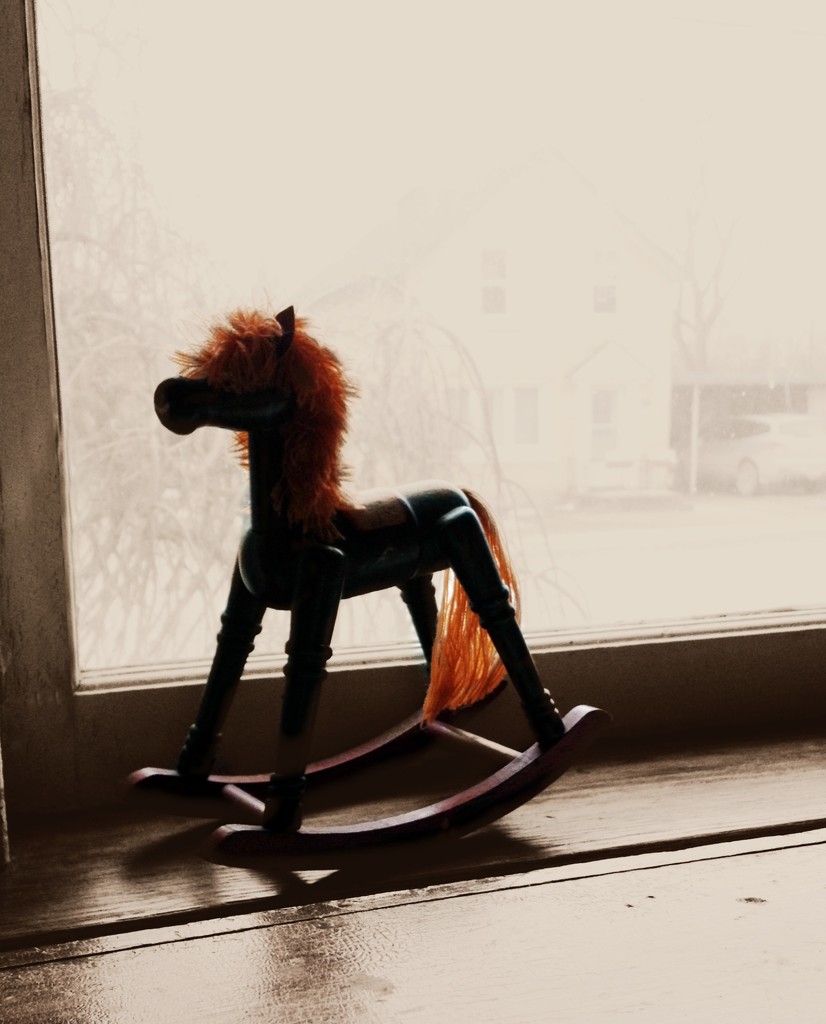 horsey in the window by edie