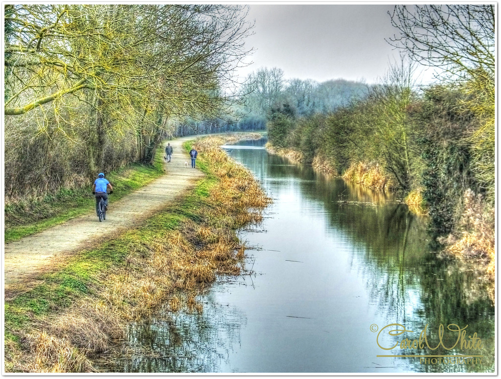 Morning On The Towpath by carolmw