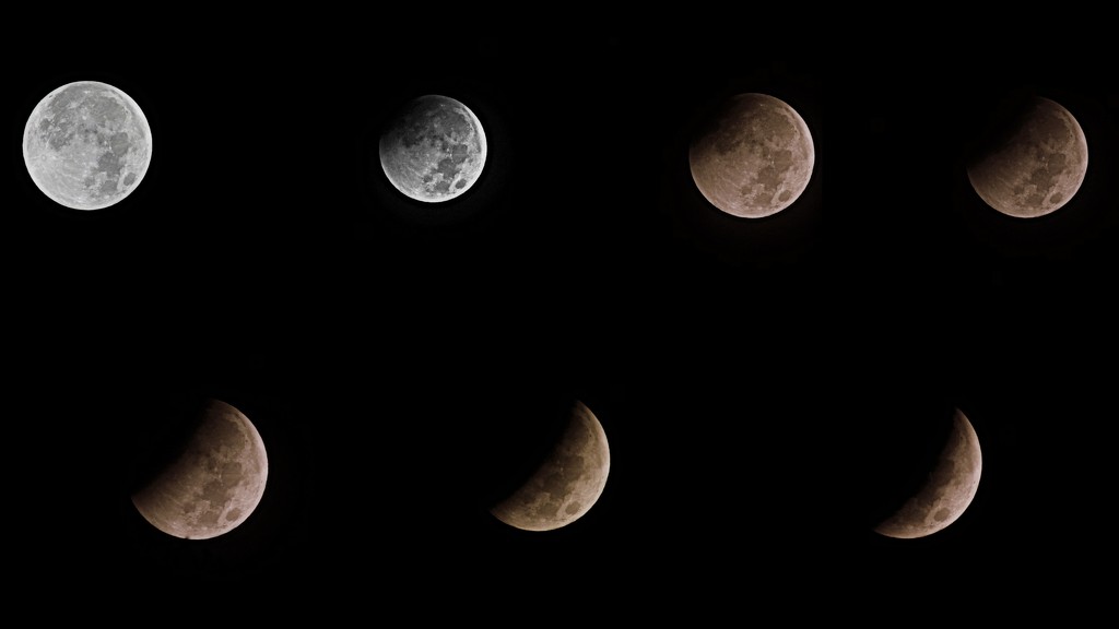 Lunar Eclipse by peggysirk