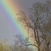Rainbow by padlock