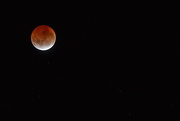 4th Apr 2015 - Blood Moon