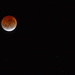 Blood Moon by nickspicsnz
