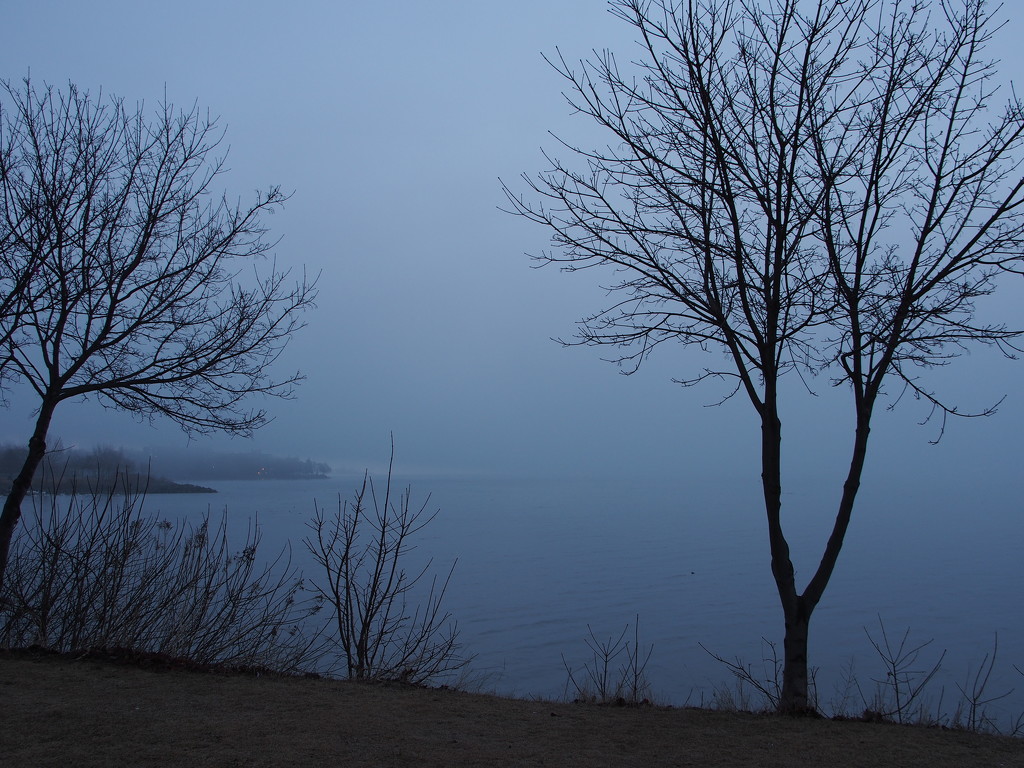Foggy Morning 1 by selkie