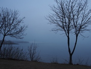 3rd Apr 2015 - Foggy Morning 1