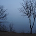 Foggy Morning 1 by selkie