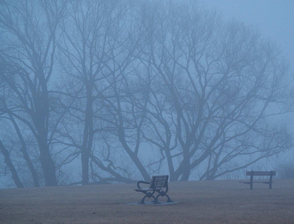 Foggy Morning 2 by selkie