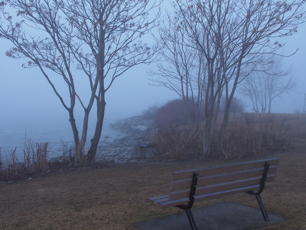 Foggy Morning 3 by selkie