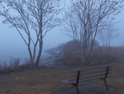 4th Apr 2015 - Foggy Morning 3