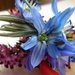 Tiny flowers by gabis