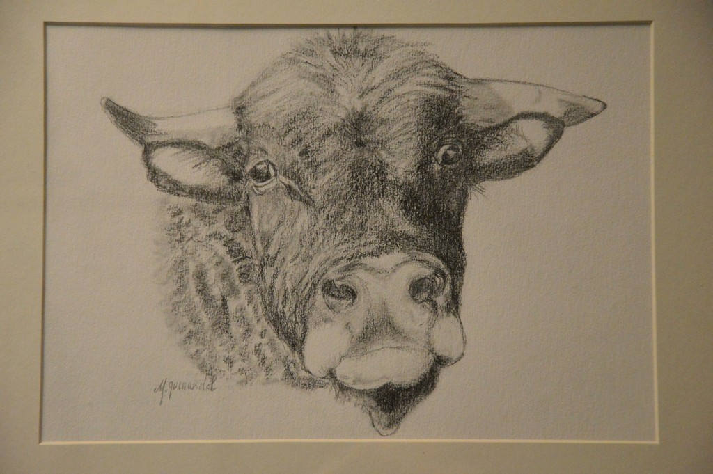 Drawing of the bull by parisouailleurs