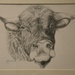 Drawing of the bull by parisouailleurs