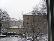 31st Mar 2015 - Snow
