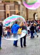 5th Apr 2015 - Lovers in their bubble...