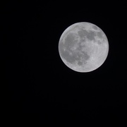 4th Apr 2015 - Full moon tonight