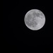Full moon tonight by mattjcuk