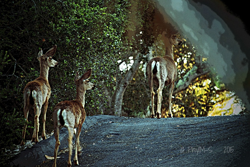 Three Deer Leaving by elatedpixie