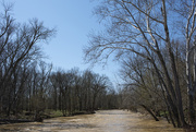 4th Apr 2015 - Flooding