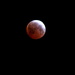 Blood Moon/Lunar Eclipse by markandlinda