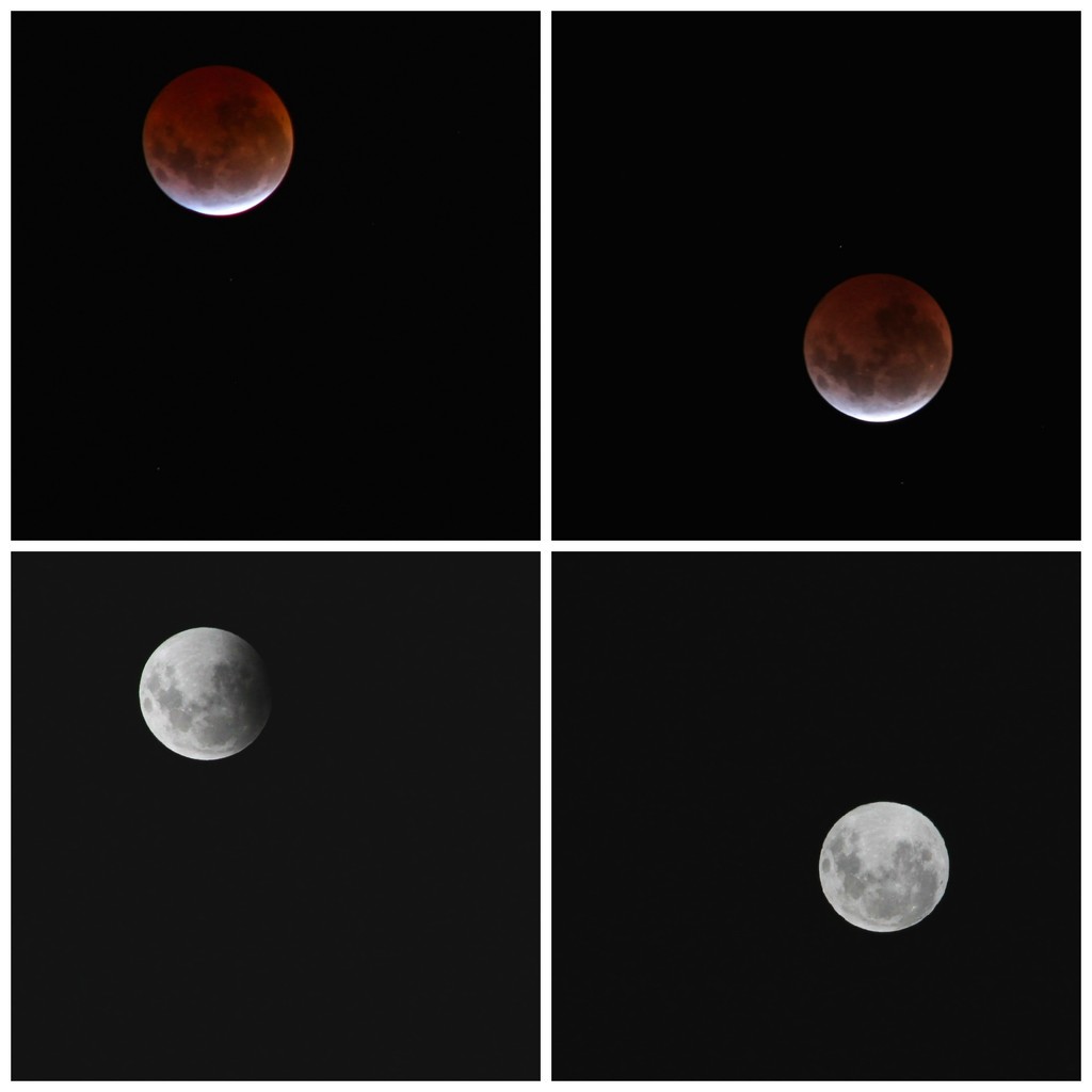 Lunar eclipse April 2015 by kiwinanna